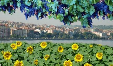 Tekirdağ Yatırımcıların Gözdesi Oluyor