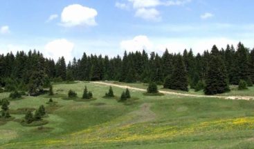 Çankırı Ilgaz Belediye Arsa Satışı