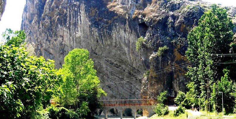 Orman Genel Müdürlüğü Sinop’u Yeşillendiriyor