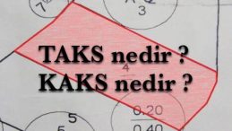 Taks ve Kaks Ne Anlama Geliyor?