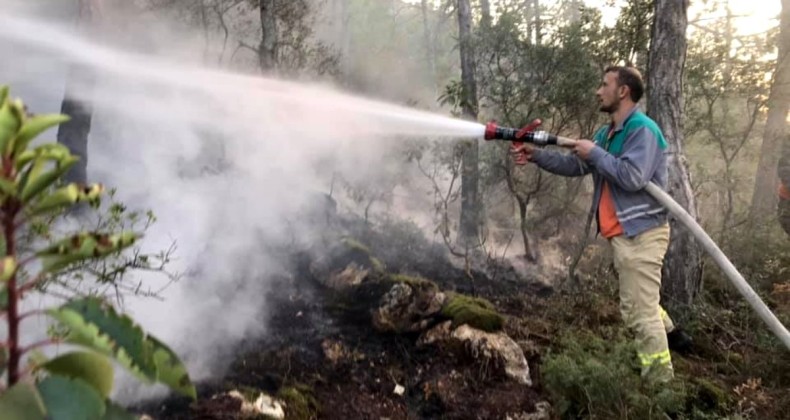 Bilecik Bayırköy’de Ormanlık Alanda Yangın