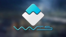 WAVES Coin NEDİR?