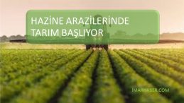 KOVİD-19 MÜCADELEDE HAZİNE ARAZİLERİ ÇİFTÇİLERE AÇILIYOR