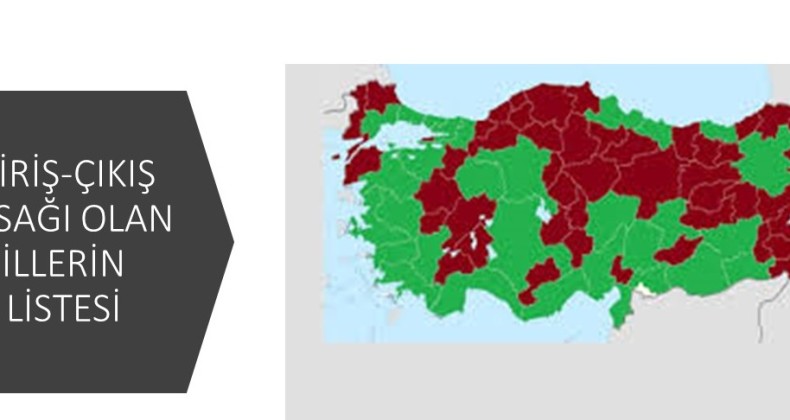 Koronavirüsle Mücadelede Giriş-Çıkış Yasağı Olan İller Listesi