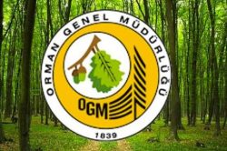 ORMAN GENEL MÜDÜRLÜĞÜ 700 ADET İŞÇİ ALIMI YAPACAK