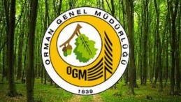 ORMAN GENEL MÜDÜRLÜĞÜ 700 ADET İŞÇİ ALIMI YAPACAK