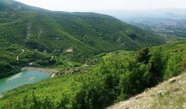 Tokat’ta 8 Adet Tarla Satış İhalesi