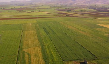 Balıkesir’de Hazine Arazileri Satılacak ve Kiralanacak