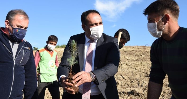 Güldünya’nın İsmi Toroslar’da Yaşayacak