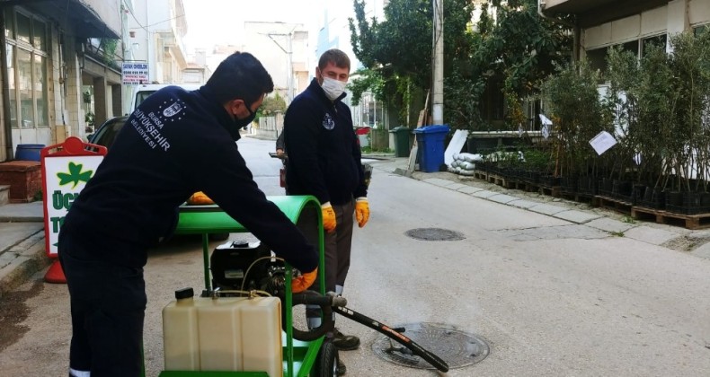 Bursa Haşerelere Karşı Mücadele Başlattı