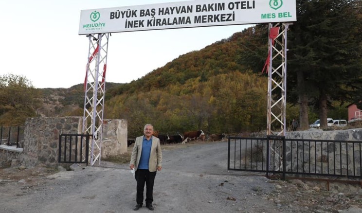 Ordu Mesudiye Hayvan Bakım Oteli