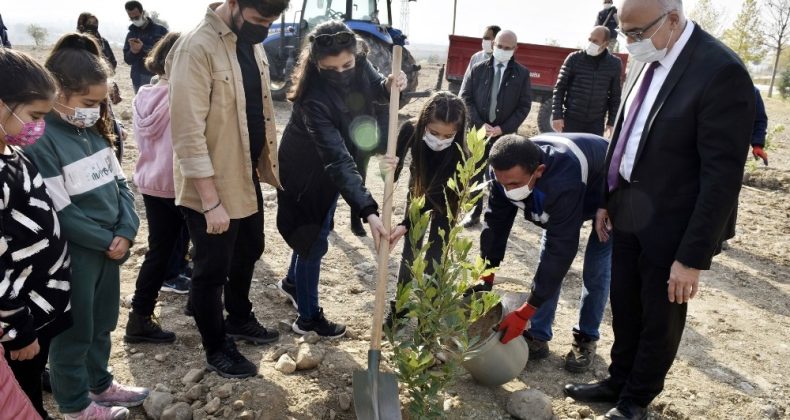 İlkokul Öğrencileri Öğretmenler Günü’nü MCBÜ’de Fidan Dikerek Kutladı