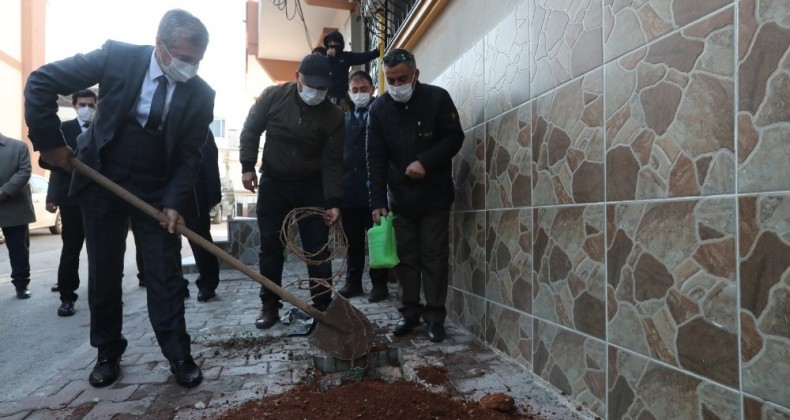 Şahinbey’de 5 bin adet asma fidanı dikildi