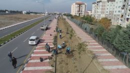 Susuzluğa dayanıklı bitkiler Manisa’yı renklendirecek