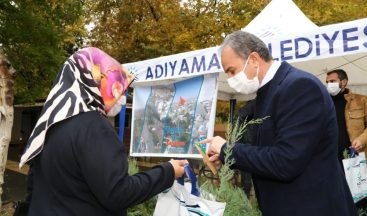 10 bin tohumlu kalem, bin 954 adet fidan dağıtıldı