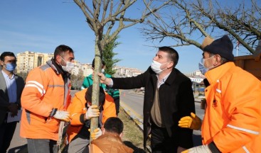 Aksaray Belediyesi fidan dikim seferberliği başlattı