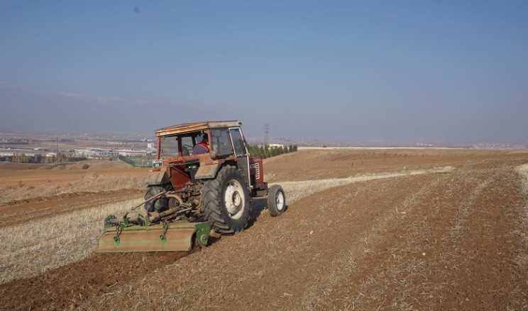 Akyurt’a 25 Dönümlük Meyve Bahçesi