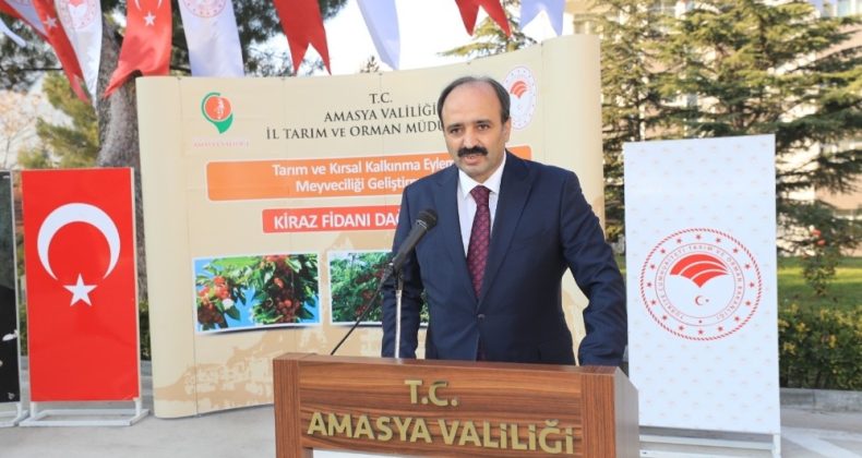 Amasya’da hedef kiraz ihracatını artırmak