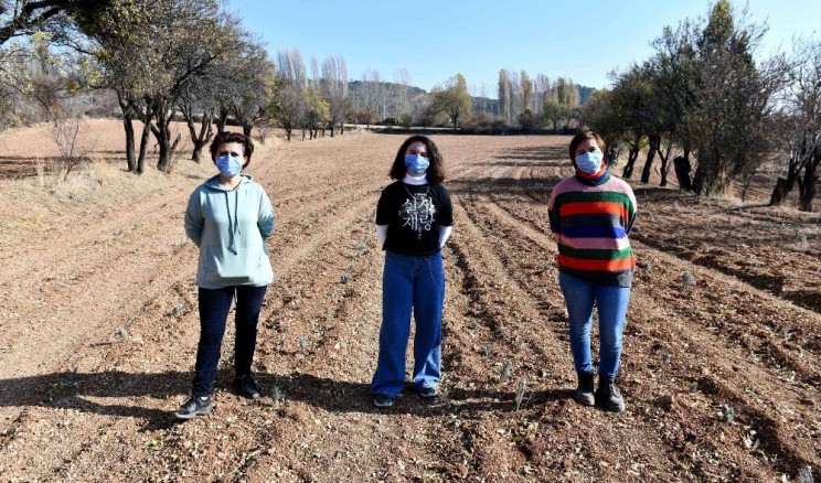 Ankara Nallıhan’da Boş Araziler Tarıma Kazandırıyor