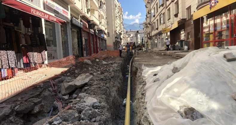 Artvin doğalgazına kavuşuyor