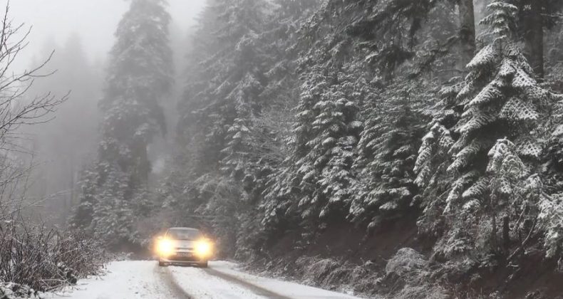Artvin´de kar yağışı etkili oldu