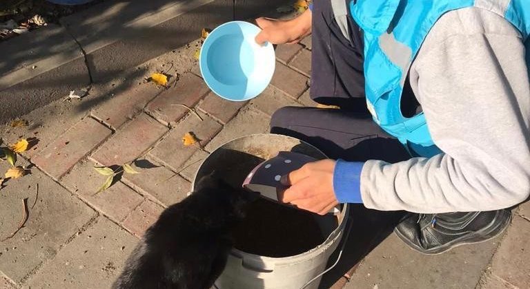 Avcılar’da kısıtlamada sokak hayvanları unutulmadı