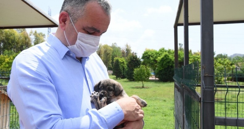 Başkan Esen: “Minik dostlarımızı yalnız bırakmadık”