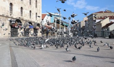 Bolu’da sessiz kalan sokaklardaki güvercinleri polisler besledi