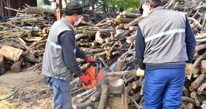 Budanan Ağaçlar İhtiyaç Sahiplerine Yakacak Oluyor