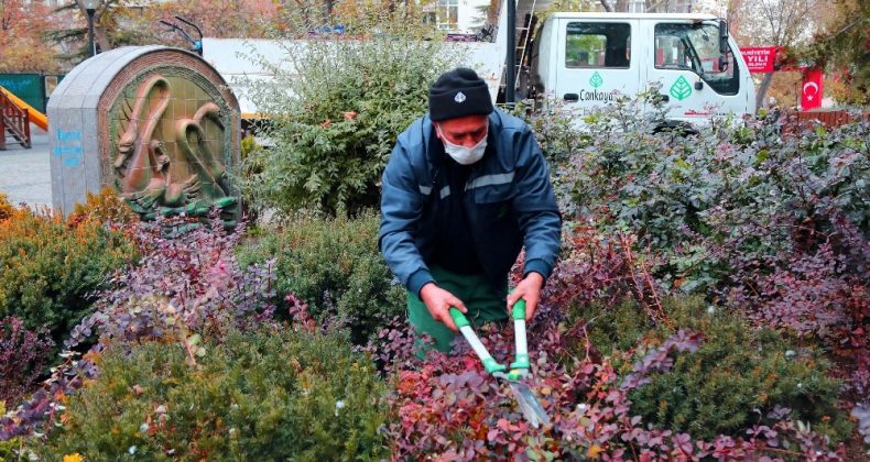 Çankaya Belediyesi Kuğulu Park’ı rengarenk çiçeklerle süsledi