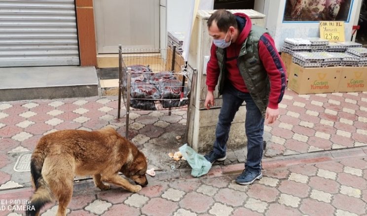 Çarşı esnafı sokak hayvanlarına sahip çıkıyor