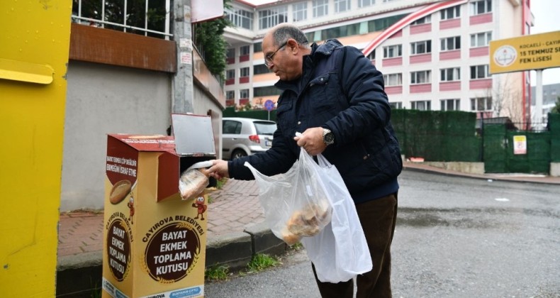 Çayırova’da bayat ekmekler sokak hayvanlarına gidiyor