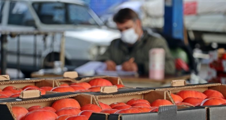 Domates ihracatı yasağı yeniden gözden geçirilsin