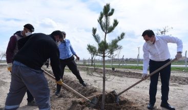 Karatay Belediyesi’nin “Yeşil Seferberliği” 2021 yılında da sürecek