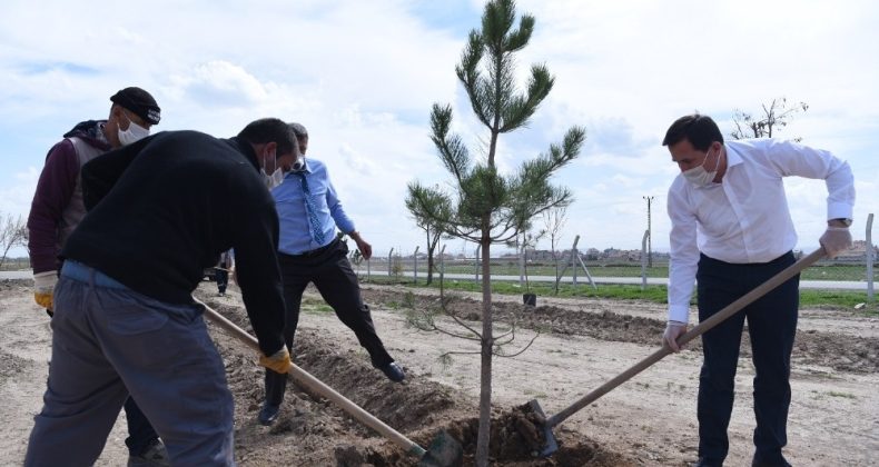 Karatay Belediyesi’nin “Yeşil Seferberliği” 2021 yılında da sürecek