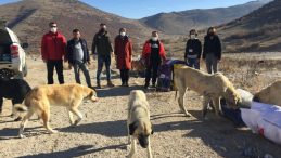 Kısıtlama günlerinde sokak hayvanlarını unutmadılar