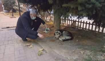 Kısıtlamada sokak hayvanları unutulmadı