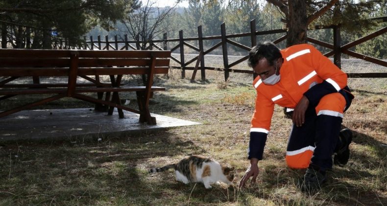 Kısıtlamada sokak hayvanları unutulmadı