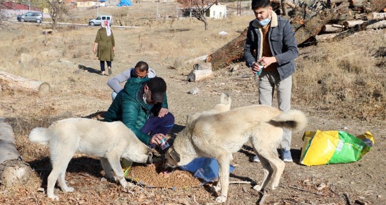 Kısıtlamada sokak hayvanlarını unutmadılar