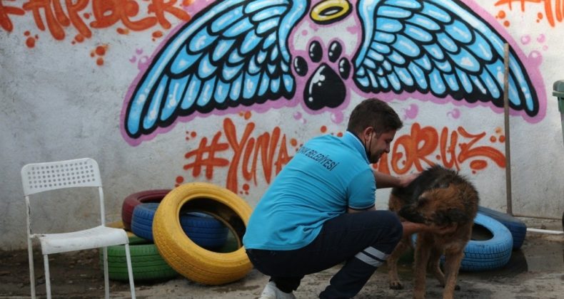 Konak’ta can dostlar için STK’larla işbirliğine devam