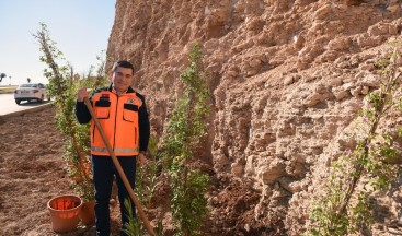 Masa Dağı’na 12 bin adet çiçek