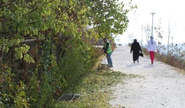 Niğde’deki yeşil alanlara periyodik bakım yapılıyor