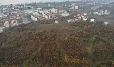 Ordu’ya yapılacak bin yataklı şehir hastanesinin yeri havadan görüntülendi