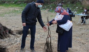 Osmaneli’de çiftçilere ceviz fidanı dağıtımı yapıldı