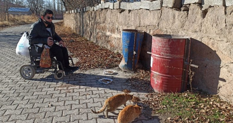 Engelli genç, sokağa çıkma kısıtlamasında sokak hayvanlarını besliyor