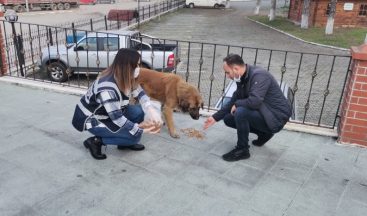 Polisler sokak hayvanlarını besledi