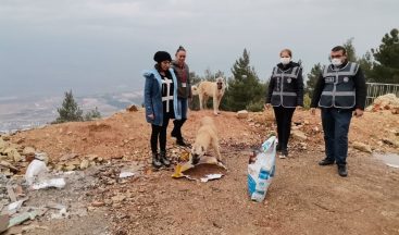 Polisten sokak hayvanlarına mama
