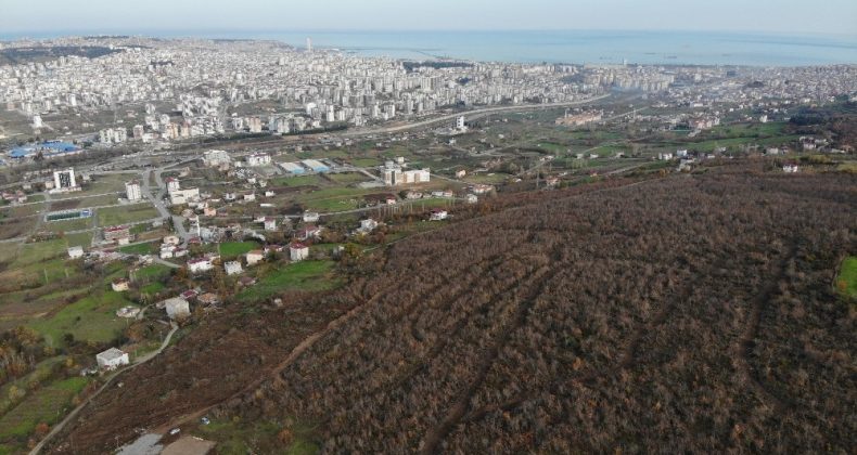 Samsun Şehir Hastanesi’nde Çalışmalar Başladı