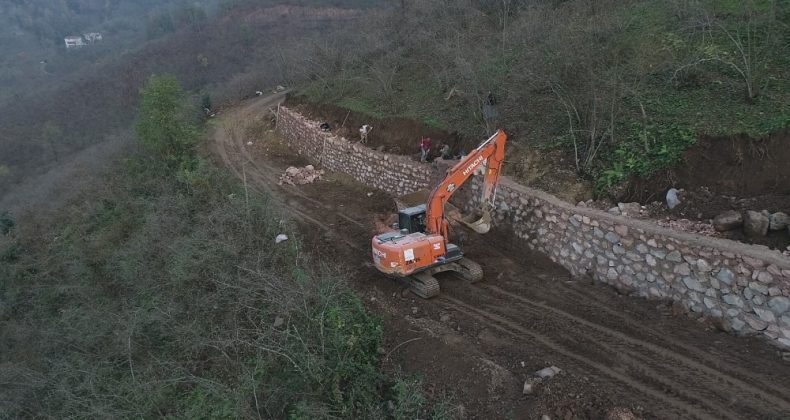 Sarmaşık, otoyola bağlanmak için gün sayıyor