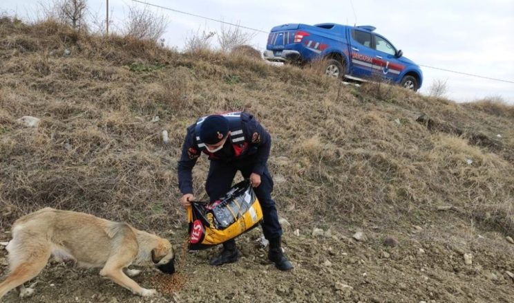 Selendi’de kolluk kuvvetleri sokak hayvanlarını unutmadı